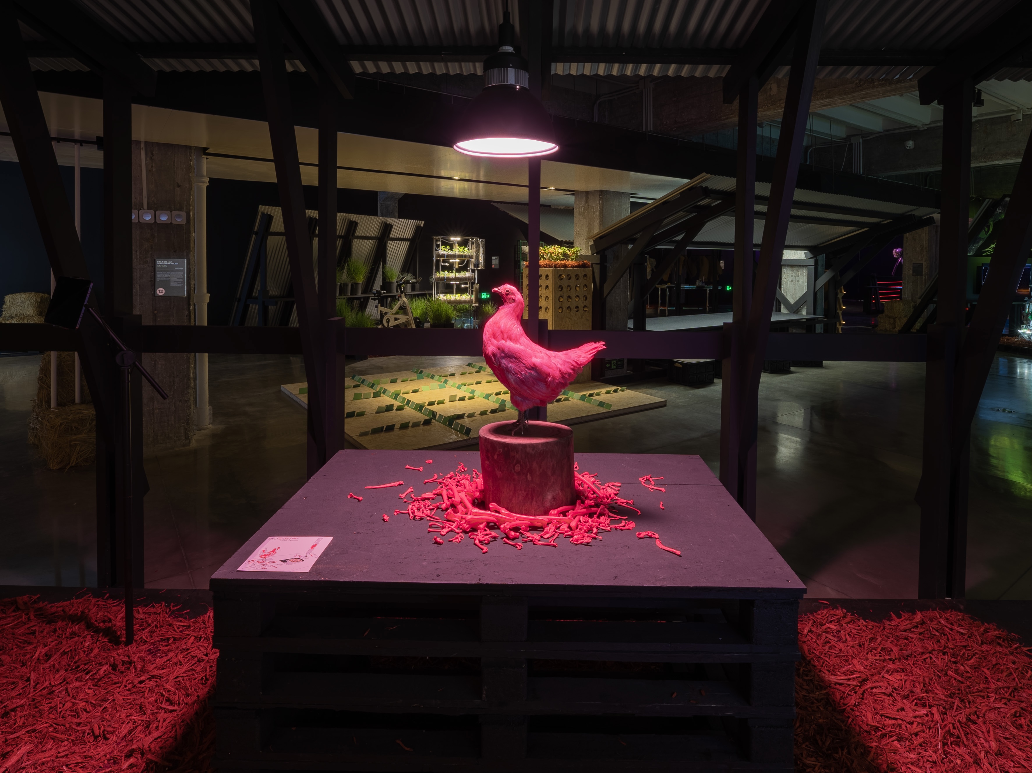 《粉红鸡计划，混合媒介》，2017
Nonhuman Nonsense Studio